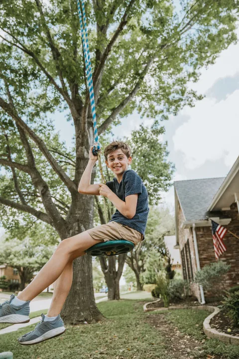 Tree Swings