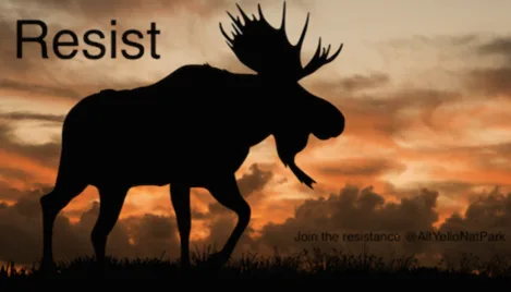 ​  Pledge your vote to protect our national parks and forests ​