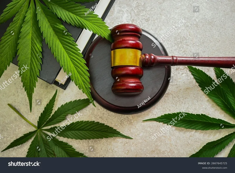 Help Medical Marijuana Patient Chris Diaz