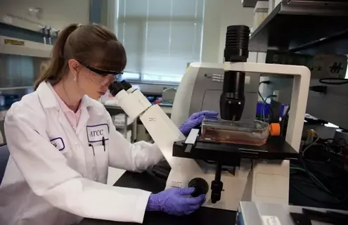 Support for Embryonic Stem Cell Research