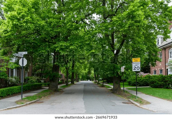 Preserve Robinwood