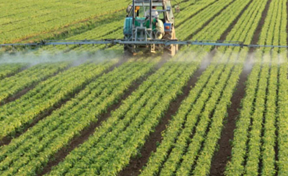 We Demand Better Quality Food