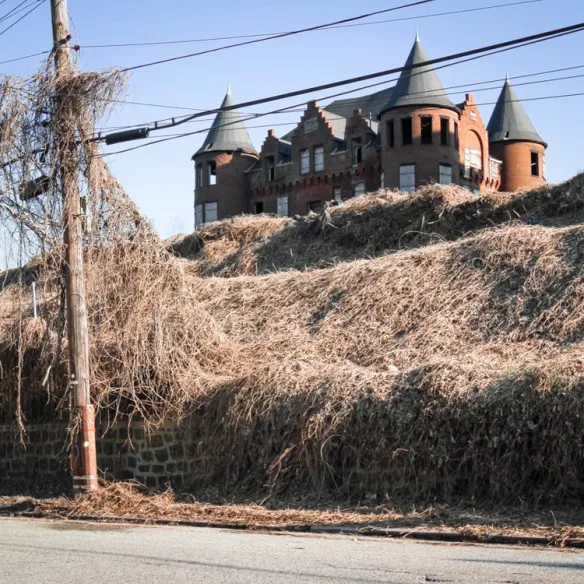 Save the SI Castle: the Frost Memorial Tower/S.I.Hospital