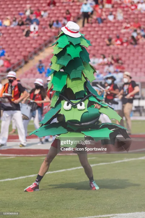 Save The Trees