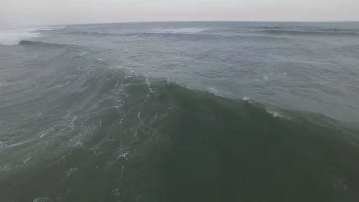 Make a save and Stop the wave!