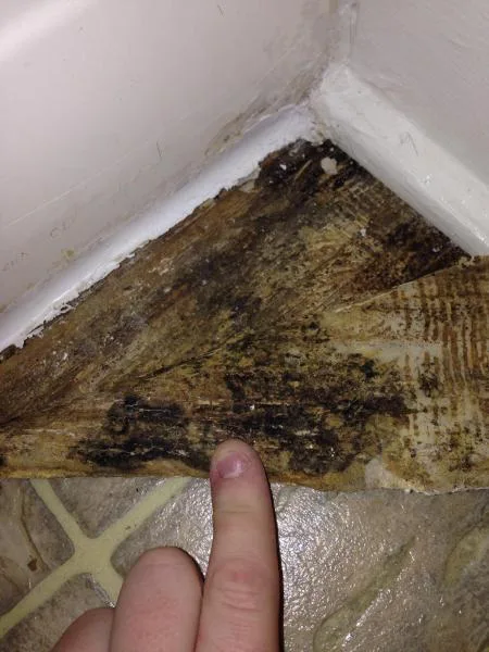 Unsafe, Mold infested, old housing to be demolished