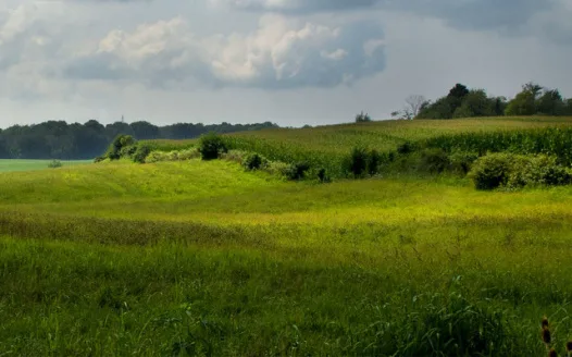 Protect Farmland & Natural Areas in Northwest St. Joseph County.