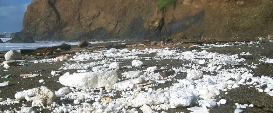 Ban Styrofoam in Alaskan restaurants