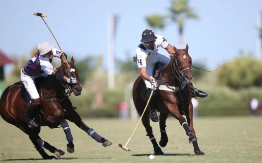 Membership of Melbourne University Polo Club