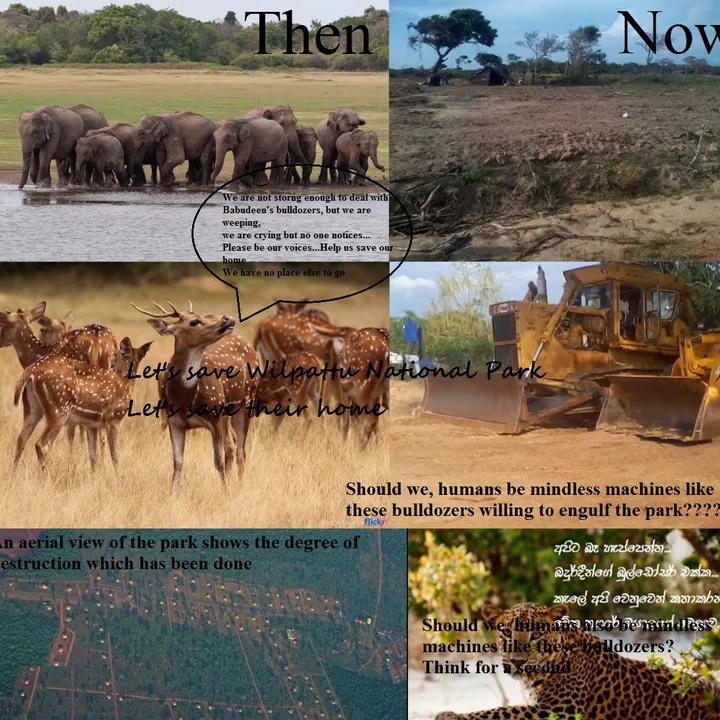 Stop destroying the Wilpattu National Park and save the animals