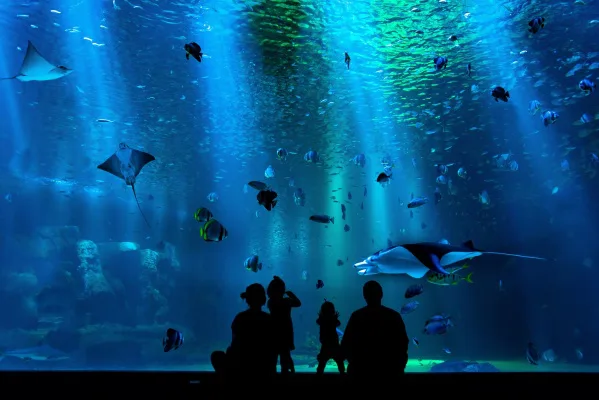 I Support the Onondaga County Aquarium!