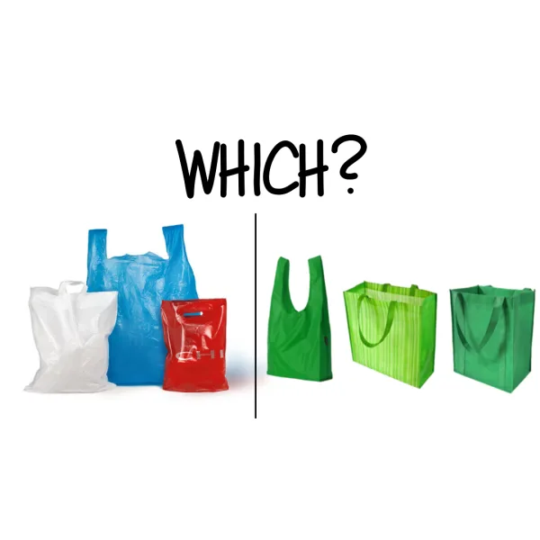Ban Single-Use Plastic Bags at Santa Barbara County Checkouts
