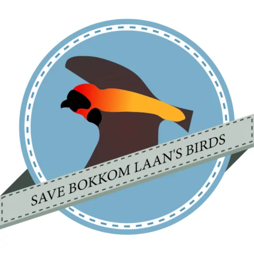 Save Bokkom Laan's birds!