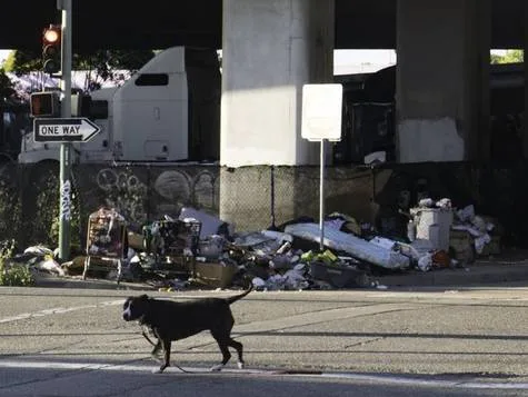 Finding a Fair and Safe Solution to Oakland Homeless Encampments