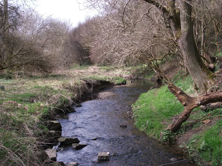 Petition to Protect Woodham Burn