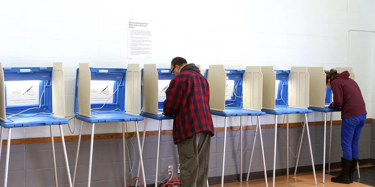 Minnesota Election Judge Petition