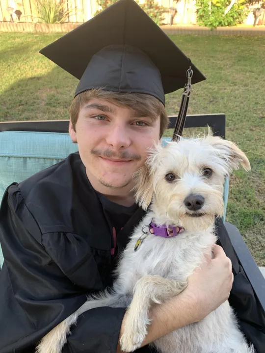Steven's Law