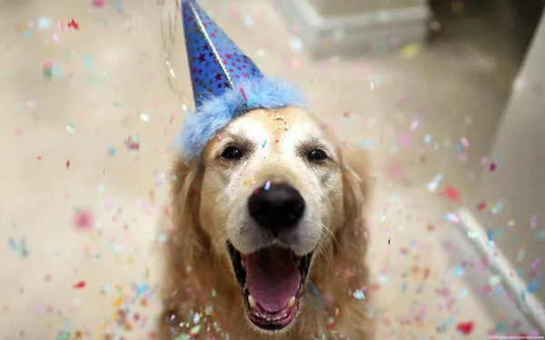 Get Jessica a dog for her birthday