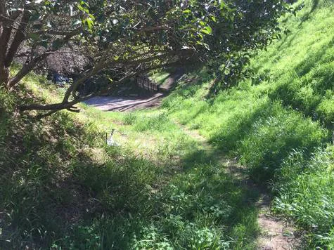 SAVE BENEDICT CANYON FROM DEVELOPMENT!