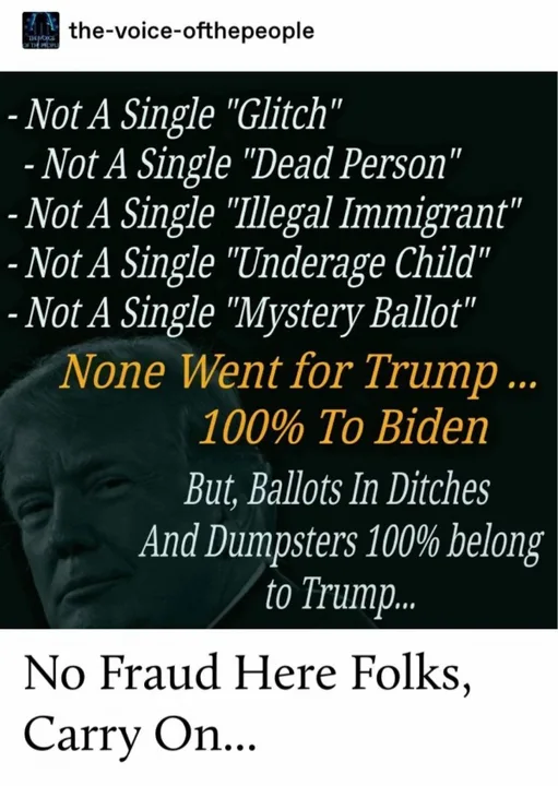 Stop The Steal Michigan GOP