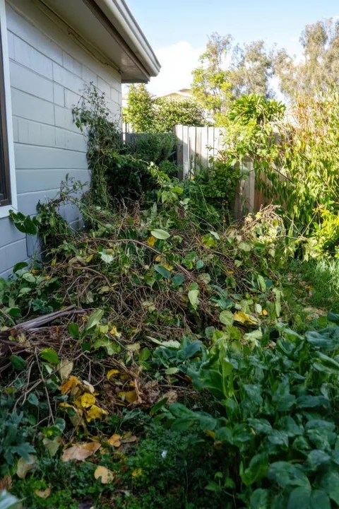 Yard clean up at 2312 South 1950 West, Woods Cross