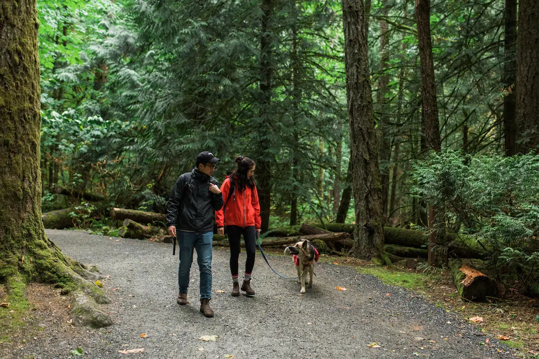 Langley, BC, Off-Leash Dog Trails