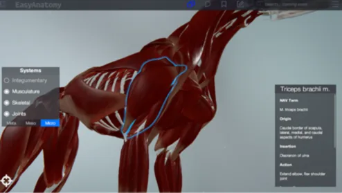 AVC's Students Want EasyAnatomy