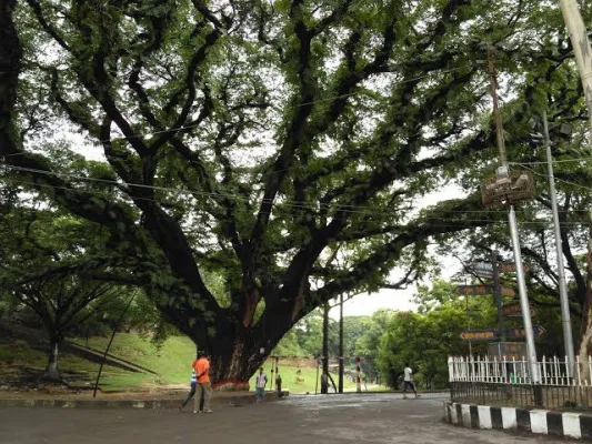 Save CRB Chittagong (চট্টগ্রামের সিআরবিকে বাঁচান)
