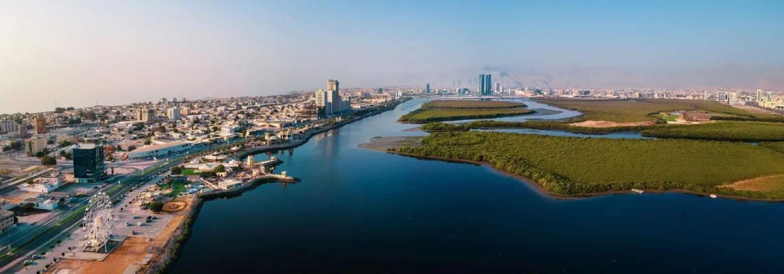 Petition to Fix the Roadway Alongside Mina Al Arab