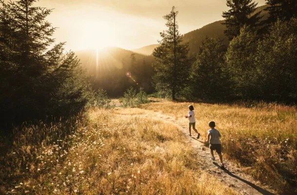 STOP the planning of Solar Panels on the Happy Valley Reservoir Reserve