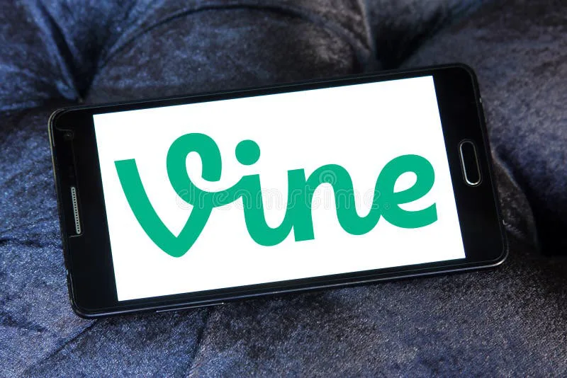 Vine-Language classes at TuHS
