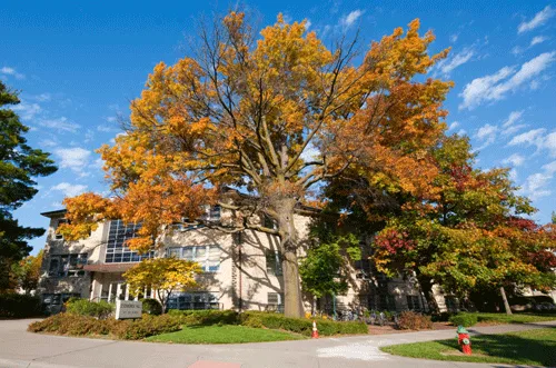Invest in KSU Trees