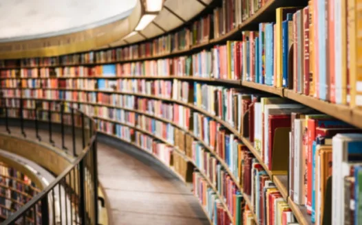 Collingswood Elementary Schools Need Libraries & Librarians