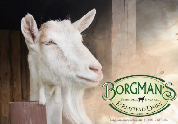 Save Borgman's Dairy Farm from MODOT Highway 131 Expansion