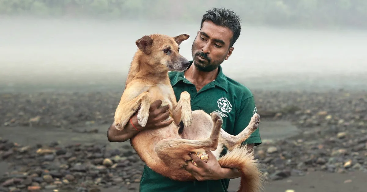 Stop the barbaric killing of dogs in Kerala India