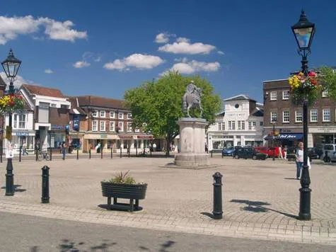 Save Petersfield Square Trees