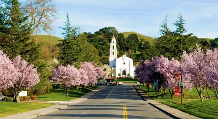 Stop SMC Parking Fees