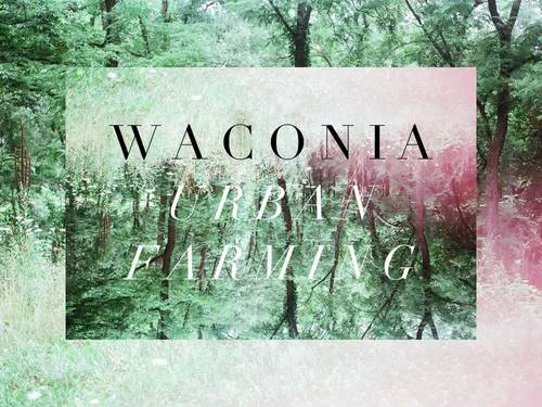Waconia Urban Farming