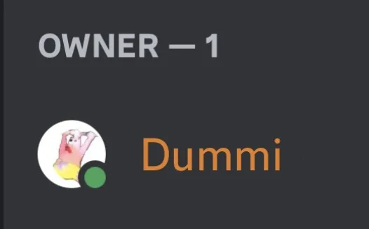 Make me owner of the discord because we lost ours