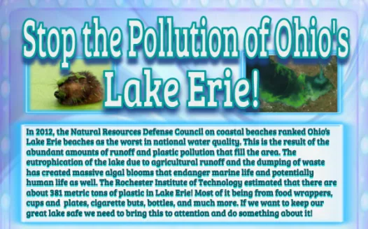 Stop the Pollution of Ohio's Lake Erie!