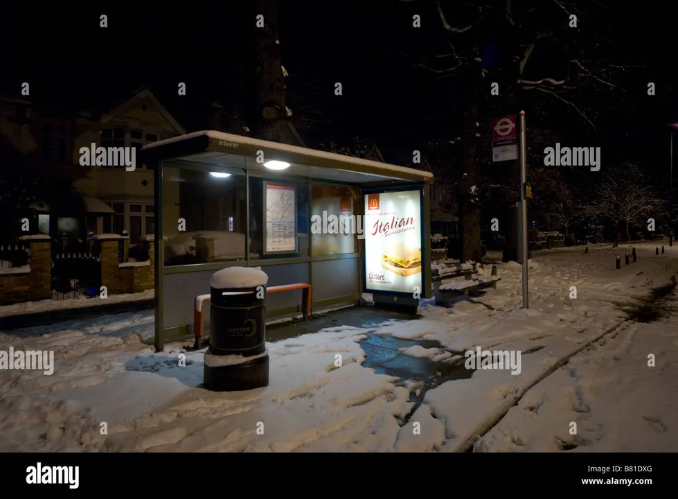 New Addington Night Bus