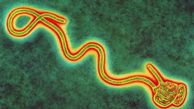 How ebola affects children