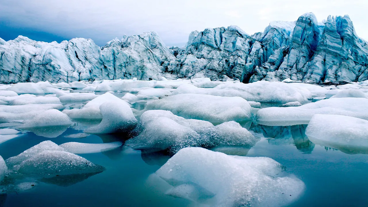 Save the Polar Ice Caps!!!