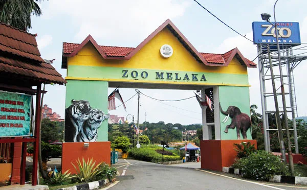FREE ORANGUTANS FROM TORTURE AT MELAKA ZOO