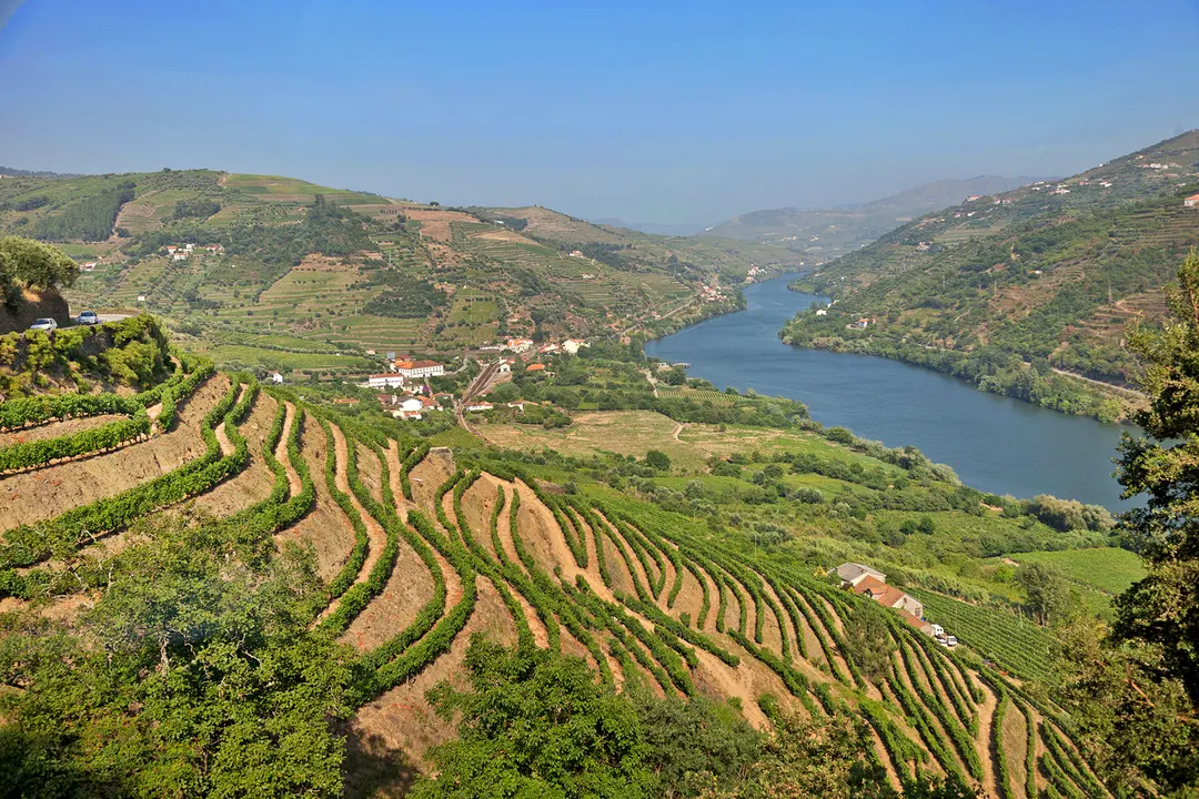 Salva el Duero - Save the Duero