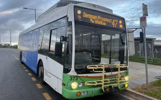 Better buses for Whitlam - it's long overdue!!!!