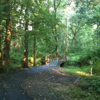 Save McLean Central Park