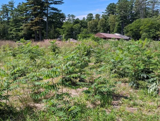 Time to Reopen Sacandaga Park Golf Course