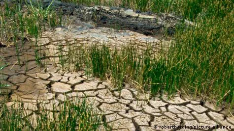 Fix the water crisis in Crofts Hill and it's environs.