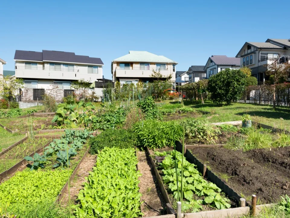 Support Graceville / Sherwood Community Garden!